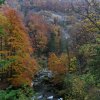 20101030_036